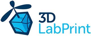 3D Lab Print